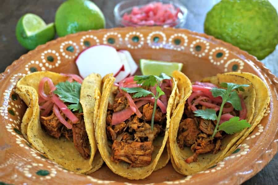 Cochinita Cochinita